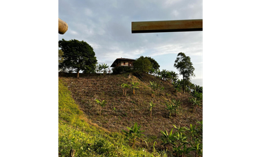 SE VENDE FINCA  ENTRE  LA VIRGINIA  Y SANTUARIO