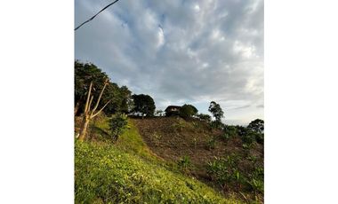 SE VENDE FINCA  ENTRE  LA VIRGINIA  Y SANTUARIO