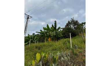 SE VENDE FINCA  ENTRE  LA VIRGINIA  Y SANTUARIO