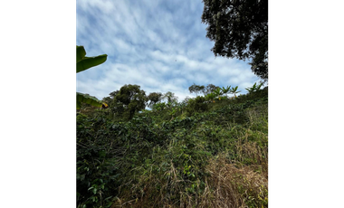 SE VENDE FINCA  ENTRE  LA VIRGINIA  Y SANTUARIO