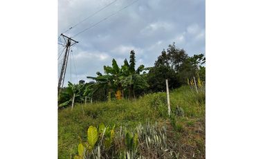 SE VENDE FINCA  ENTRE  LA VIRGINIA  Y SANTUARIO