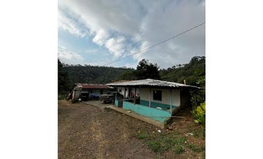 SE VENDE FINCA  ENTRE  LA VIRGINIA  Y SANTUARIO
