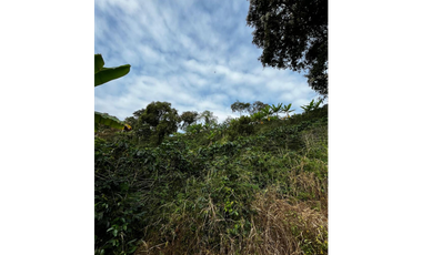 SE VENDE FINCA  ENTRE  LA VIRGINIA  Y SANTUARIO