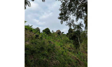 SE VENDE FINCA  ENTRE  LA VIRGINIA  Y SANTUARIO