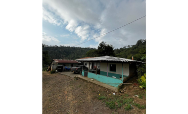 SE VENDE FINCA  ENTRE  LA VIRGINIA  Y SANTUARIO