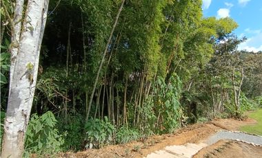 Arriendo finca nueva en vereda Quirama - El Carmen de Viboral