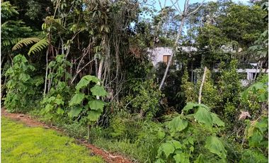 Arriendo finca nueva en vereda Quirama - El Carmen de Viboral