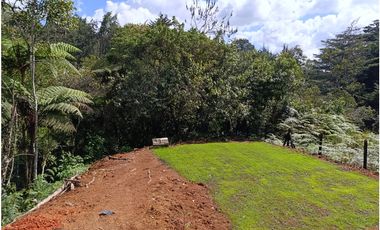 Arriendo finca nueva en vereda Quirama - El Carmen de Viboral