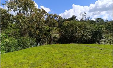 Arriendo finca nueva en vereda Quirama - El Carmen de Viboral