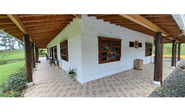 VENDO FINCA VENECIA ANTIOQUIA