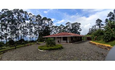 VENDO FINCA VENECIA ANTIOQUIA