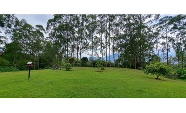 VENDO FINCA VENECIA ANTIOQUIA