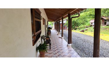 VENDO FINCA VENECIA ANTIOQUIA