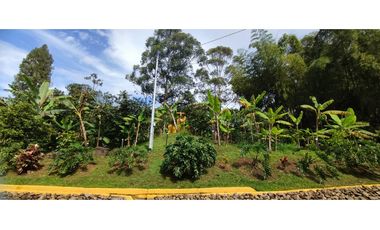 VENDO FINCA VENECIA ANTIOQUIA