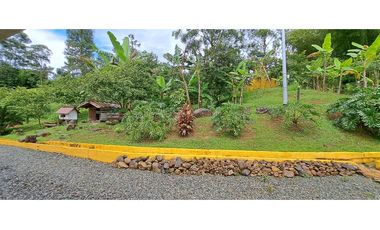 VENDO FINCA VENECIA ANTIOQUIA
