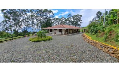 VENDO FINCA VENECIA ANTIOQUIA