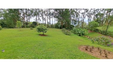 VENDO FINCA VENECIA ANTIOQUIA