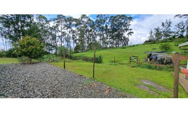 VENDO FINCA VENECIA ANTIOQUIA