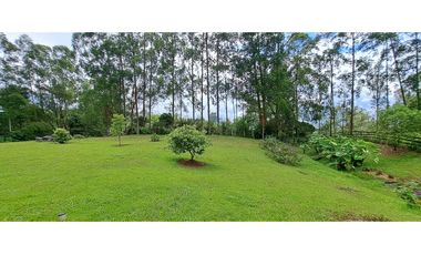 VENDO FINCA VENECIA ANTIOQUIA