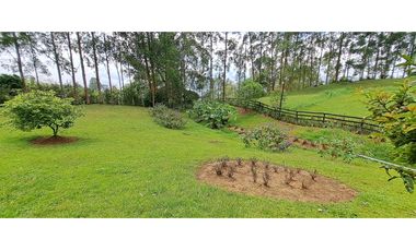VENDO FINCA VENECIA ANTIOQUIA