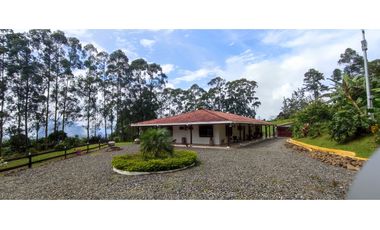 VENDO FINCA VENECIA ANTIOQUIA