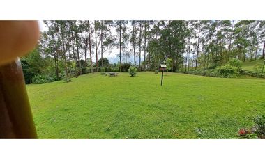 VENDO FINCA VENECIA ANTIOQUIA