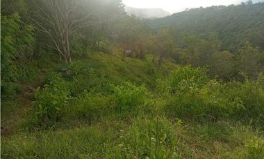 SE VENDE FINCA EN ARBELAEZ FUSAGASUGA