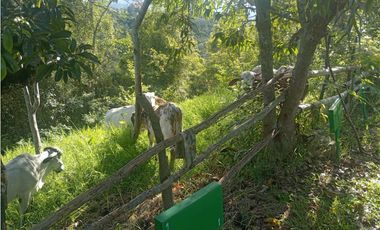 SE VENDE FINCA EN ARBELAEZ FUSAGASUGA