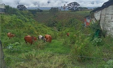 SE VENDE FINCA EN ARBELAEZ FUSAGASUGA