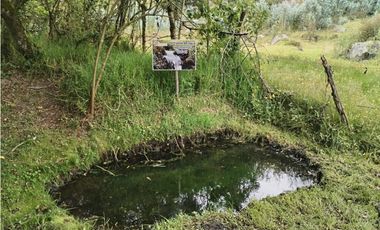 Otavalo, Hosteria en Venta, 441m2, 5 Ambientes