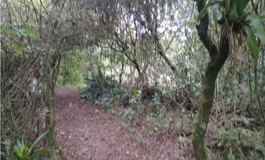 Otavalo, Hosteria en Venta, 441m2, 5 Ambientes