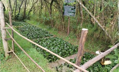 Otavalo, Hosteria en Venta, 441m2, 5 Ambientes