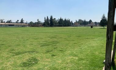 Terreno en 10,000 m cuadrados en teoloyucan