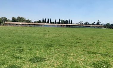 Terreno en 10,000 m cuadrados en teoloyucan