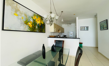 VENDO APARTAMENTO EN VISTA MARINA AMOBLADO, AVENIDA BALBOA (2)