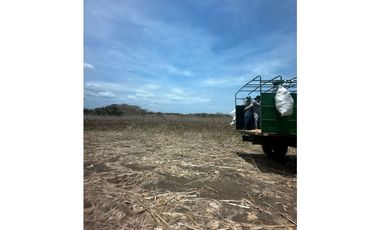 LAS TABLAS / PARITILLA / FINCA / 52 HECTAREAS