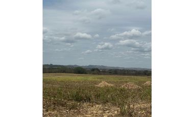 LAS TABLAS / PARITILLA / FINCA / 52 HECTAREAS