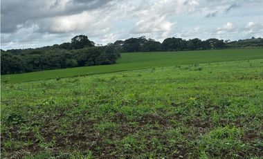 LAS TABLAS / PARITILLA / FINCA / 52 HECTAREAS