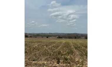 LAS TABLAS / PARITILLA / FINCA / 52 HECTAREAS