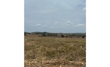 LAS TABLAS / PARITILLA / FINCA / 52 HECTAREAS