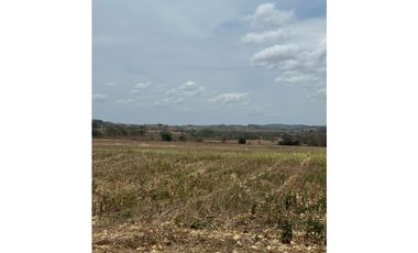 LAS TABLAS / PARITILLA / FINCA / 52 HECTAREAS
