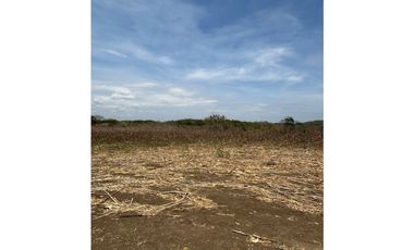 LAS TABLAS / PARITILLA / FINCA / 52 HECTAREAS