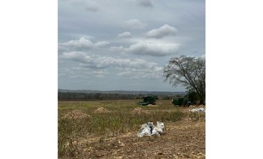 LAS TABLAS / PARITILLA / FINCA / 52 HECTAREAS