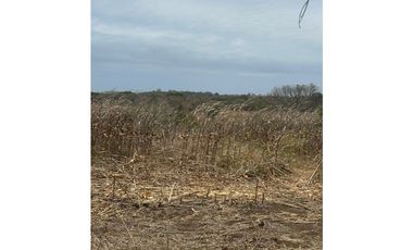 LAS TABLAS / PARITILLA / FINCA / 52 HECTAREAS