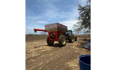 LAS TABLAS / PARITILLA / FINCA / 52 HECTAREAS