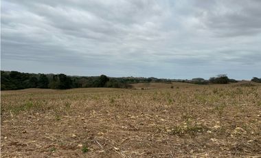 LAS TABLAS / PARITILLA / FINCA / 52 HECTAREAS