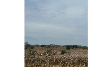 LAS TABLAS / PARITILLA / FINCA / 52 HECTAREAS