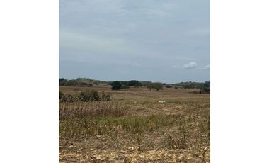 LAS TABLAS / PARITILLA / FINCA / 52 HECTAREAS