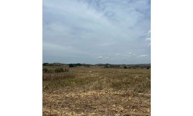 LAS TABLAS / PARITILLA / FINCA / 52 HECTAREAS