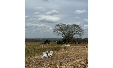 LAS TABLAS / PARITILLA / FINCA / 52 HECTAREAS